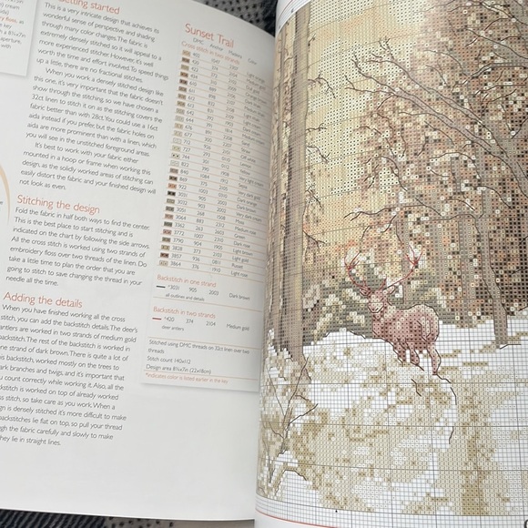 Ultimate Cross Stitch Projects by Maria Diaz - Picture 4 of 7